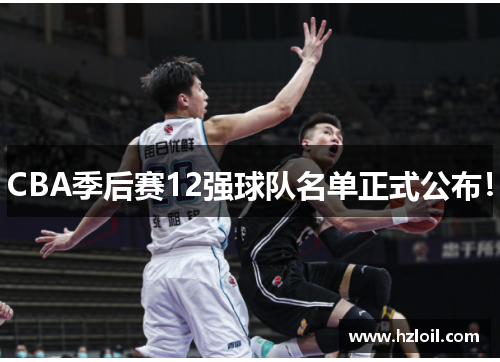 CBA季后赛12强球队名单正式公布! CBA季后赛12强球队名单正式公布!