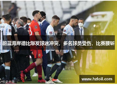 蔚蓝海岸德比爆发球迷冲突，多名球员受伤，比赛腰斩
